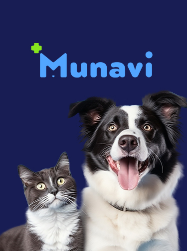 Card-Legger-munavi-header